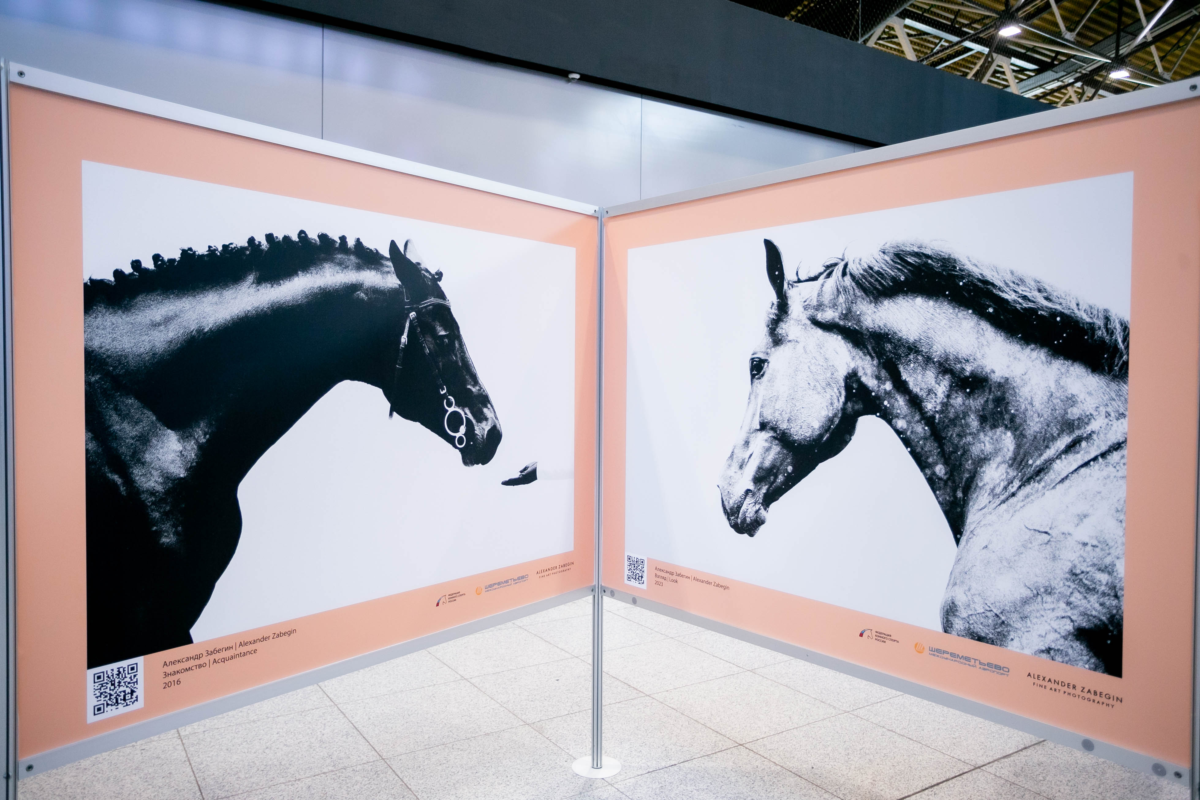 Выставка работ фотографа Александра Забегина открылась в аэропорту Шереметьево